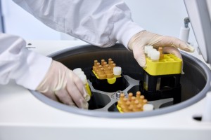 H&auml;nde setzen einen Beh&auml;lter mit Reagenzgl&auml;sern mit Proben in ein Laborger&auml;t
