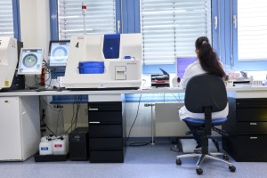 Mitarbeiterin am Arbeitsplatz vor Computer im Speziallabor